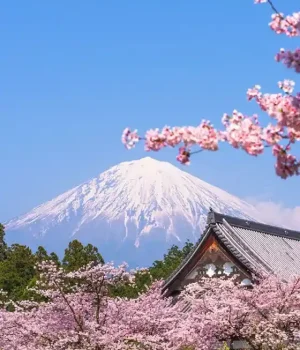fujinomiya-shizuoka